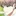 강선우