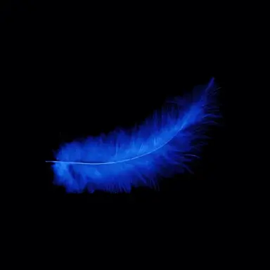 Profile image of 파크모