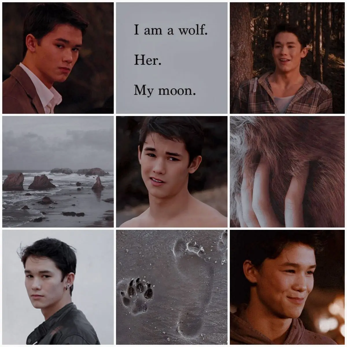 StarkUrial3440의 Protecting | Seth Clearwater