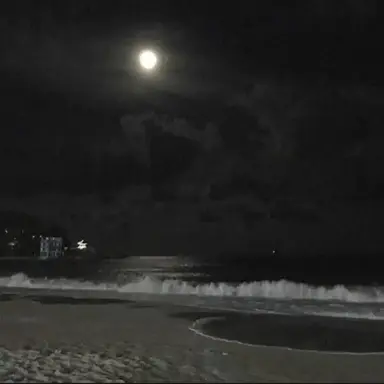 Profile image of 이와이즈미 하지메