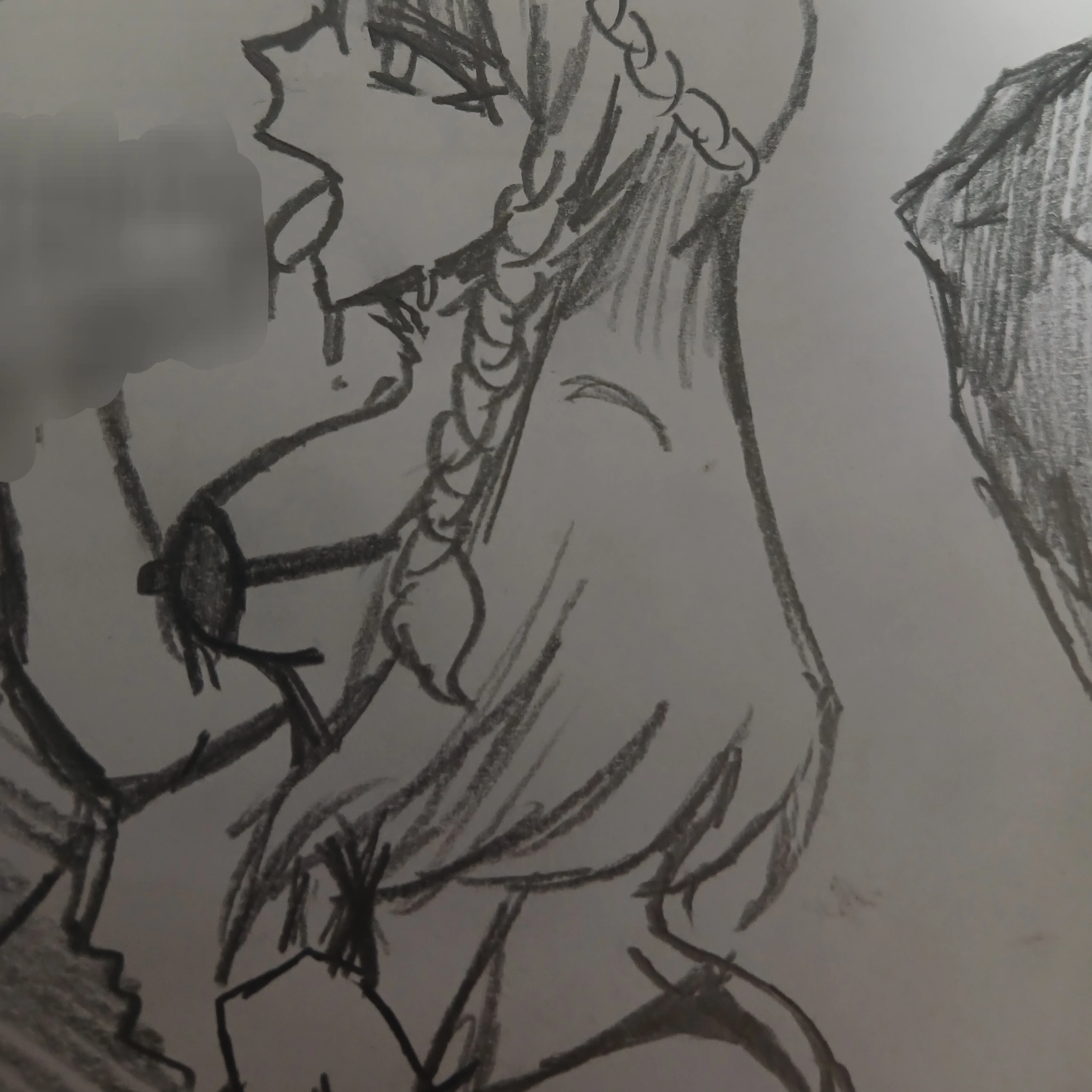 레시 레이스