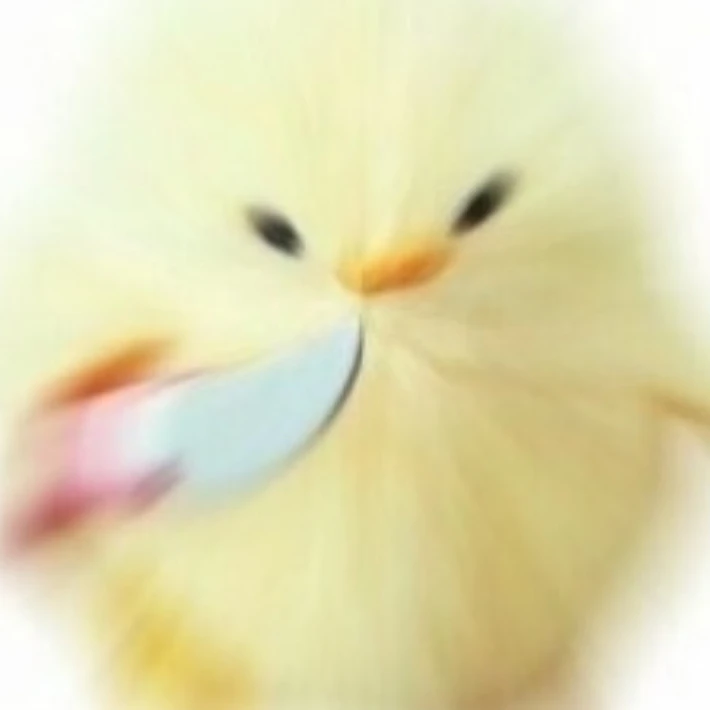 새싹비빔밥