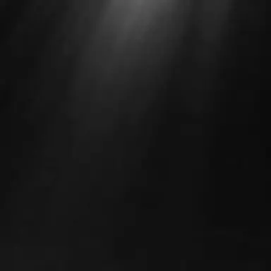 Profile image of サン