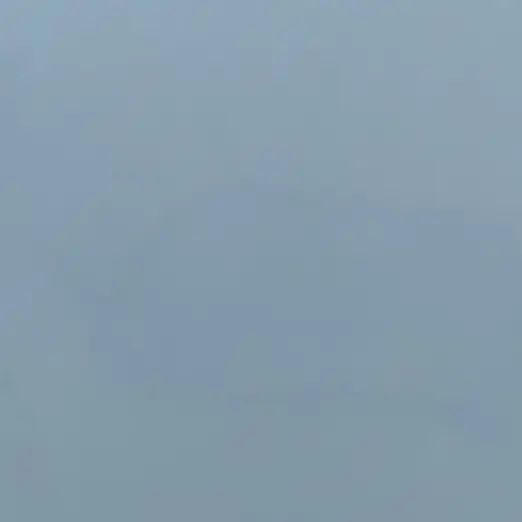 CloudyScale1914의 海