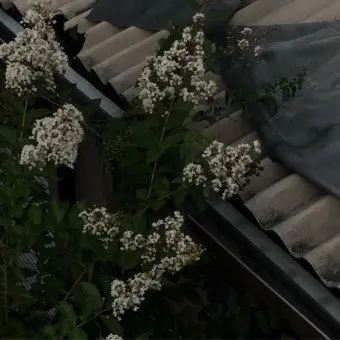 Profile image of 소멸