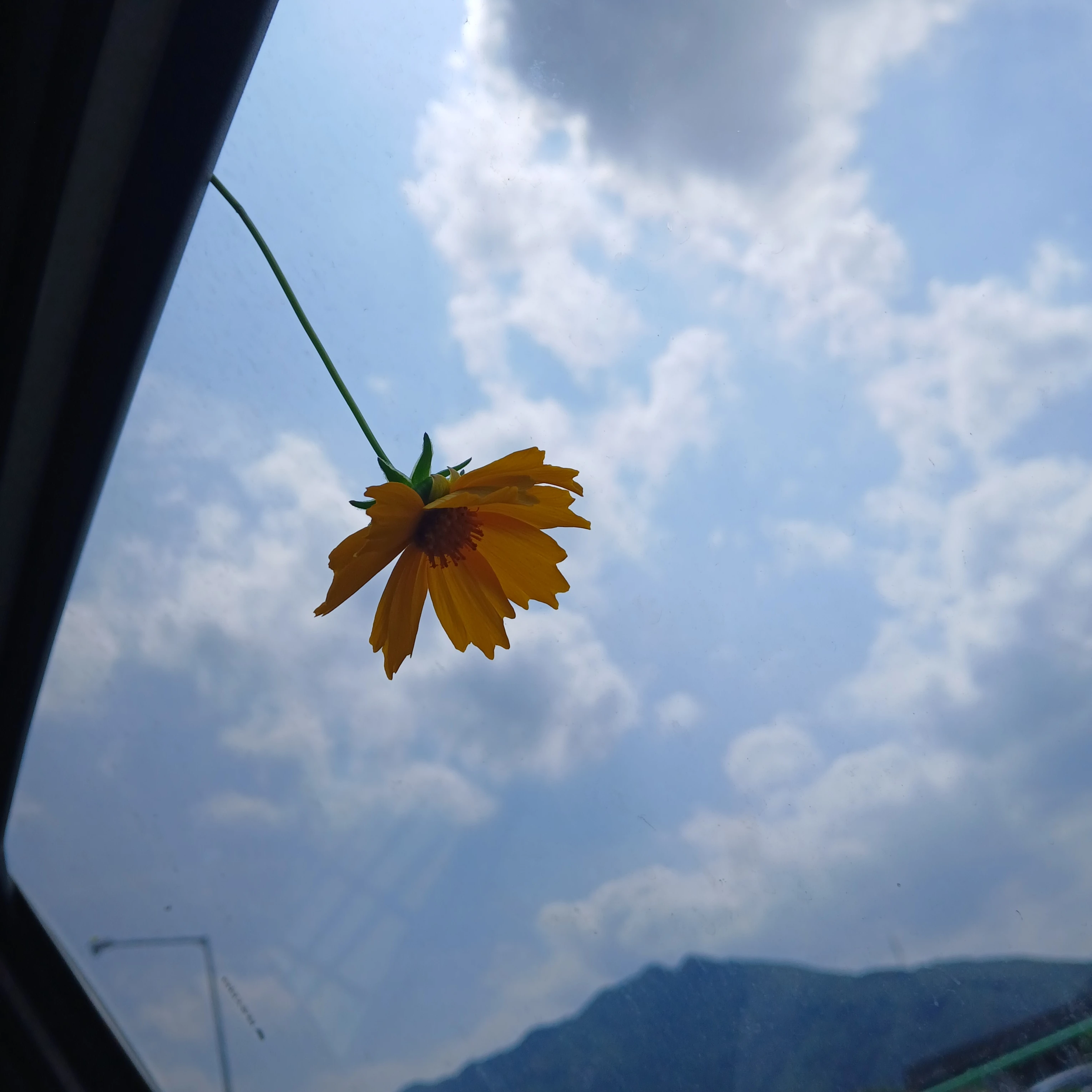 생각