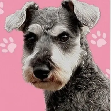 Profile image of ムック