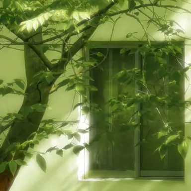 Profile image of 정공룡