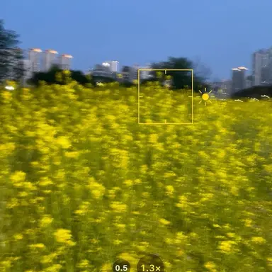 Profile image of 최여우