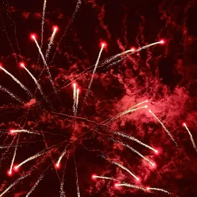 Profile image of 서라더