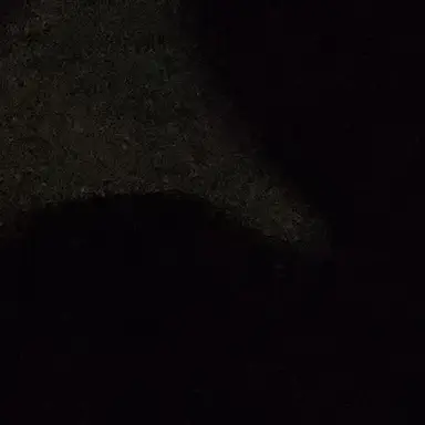 Profile image of 카쿠다테 카린