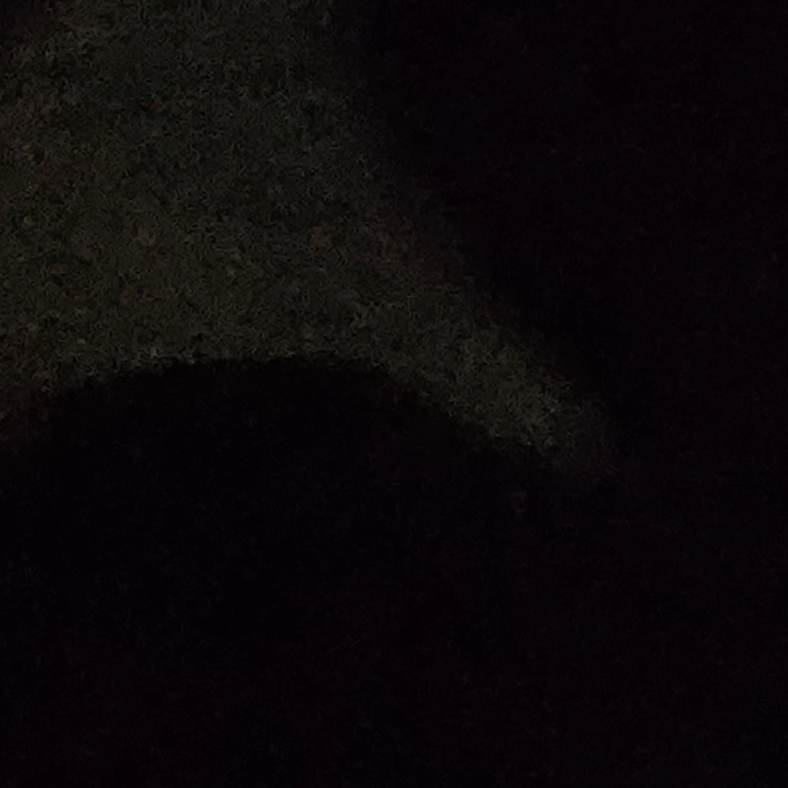 GEEP의 카쿠다테 카린