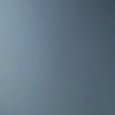 Profile image of X