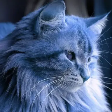 Profile image of シャドウミルク