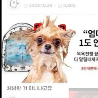 Profile image of 버터아트맛 쿠키