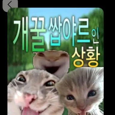 Profile image of 코코넛오일 쿠키