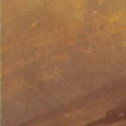 Profile image of 王様