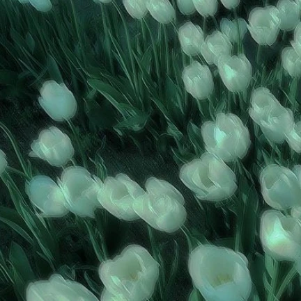 정공룡