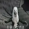 Profile image of ワンワン