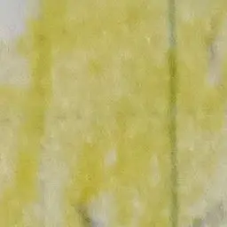 Profile image of サイモン