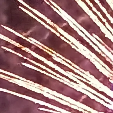 Profile image of ピンキ