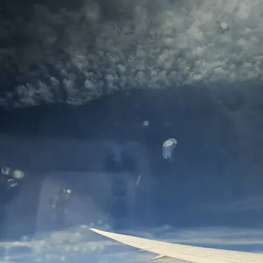 Profile image of 에스파