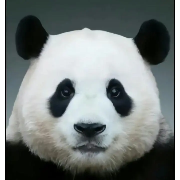 OpaqueLinen7517의 푸바오