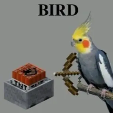 Profile image of Theobaldthebird