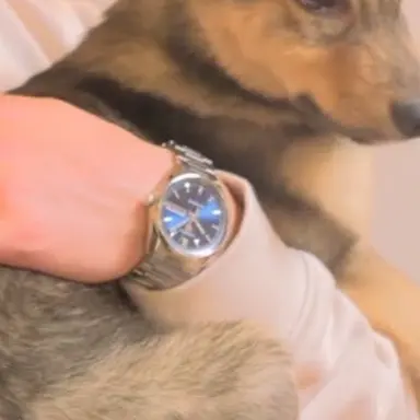 Profile image of ヨグ