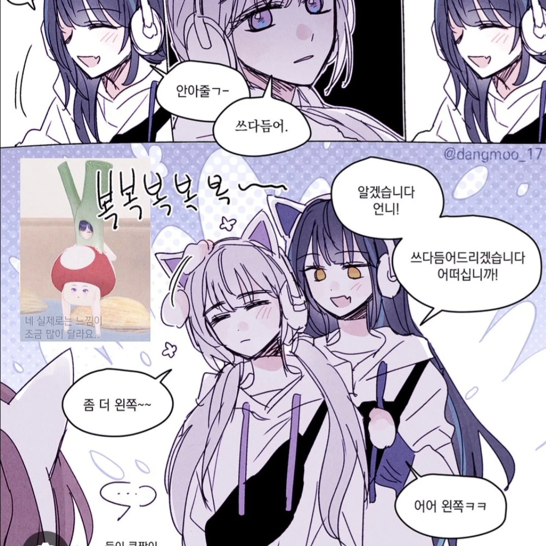 해설자