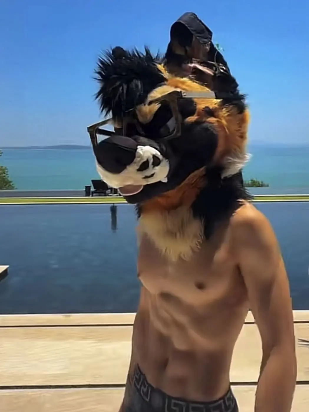 SecureStamp5271의 Palace Wolf