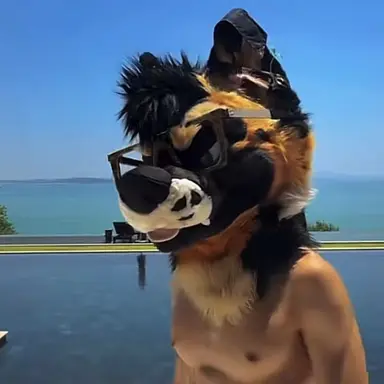 Profile image of PalaceWolf