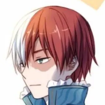 Profile image of Todoroki