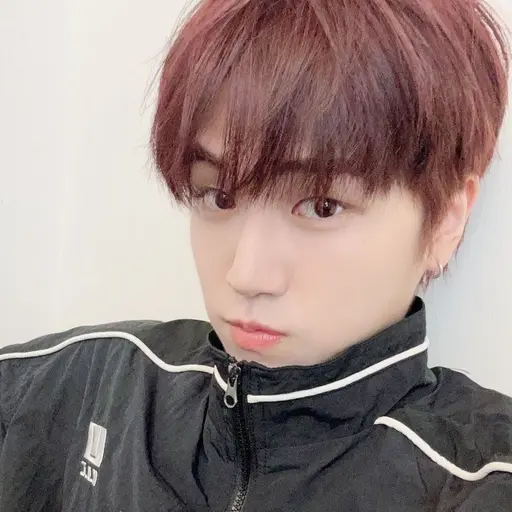 1.3의 이상혁