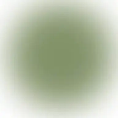 Profile image of 拓弥