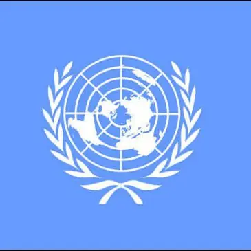 Profile image of 国連2p