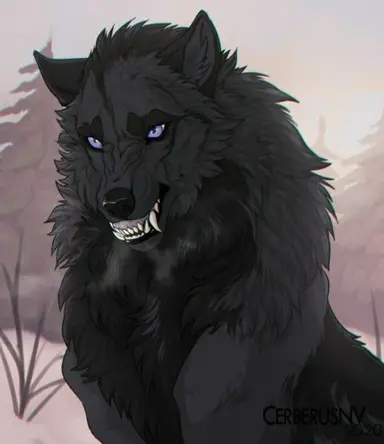 Profile image of Callan