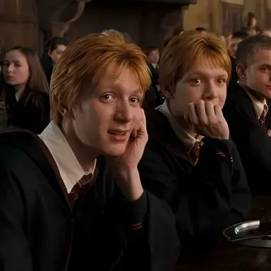 Profile image of George And Fred Weasley