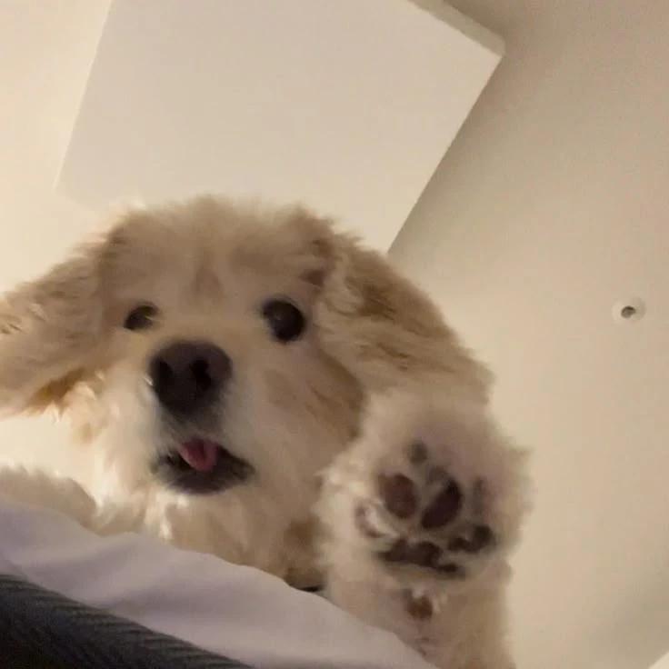 김규빈