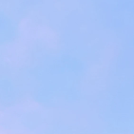 国連