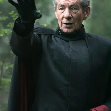 Profile image of Magneto