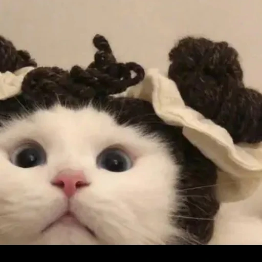 뜰팁,팀 셀러드 조직