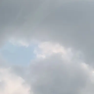 Profile image of 블랙카카오 쿠키