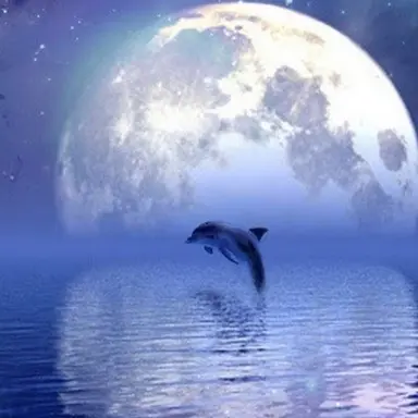 Profile image of 연구소