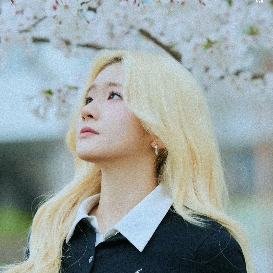 NutmegLoss0427의 예멍이