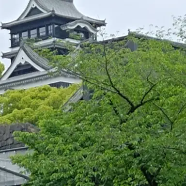 Profile image of あくあ