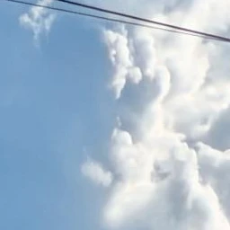 夏コラボメンバー