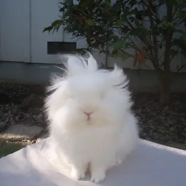 Profile image of 박성화