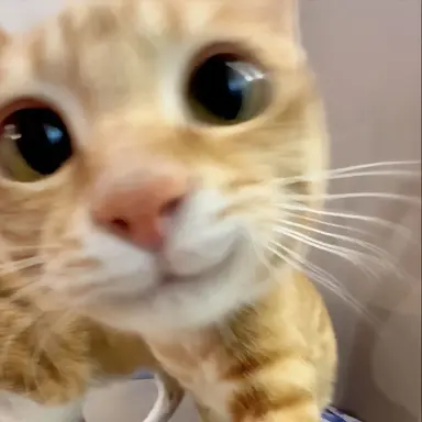 Profile image of 최 산