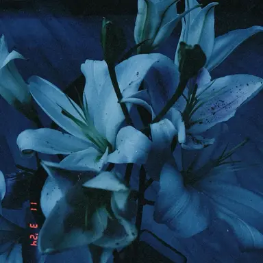 Profile image of 블루